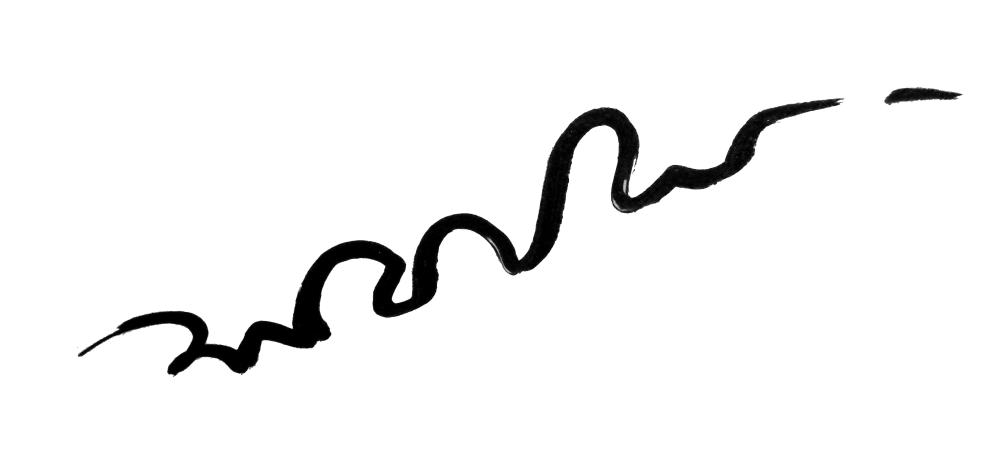 Sanjaya Senavirathna Logo